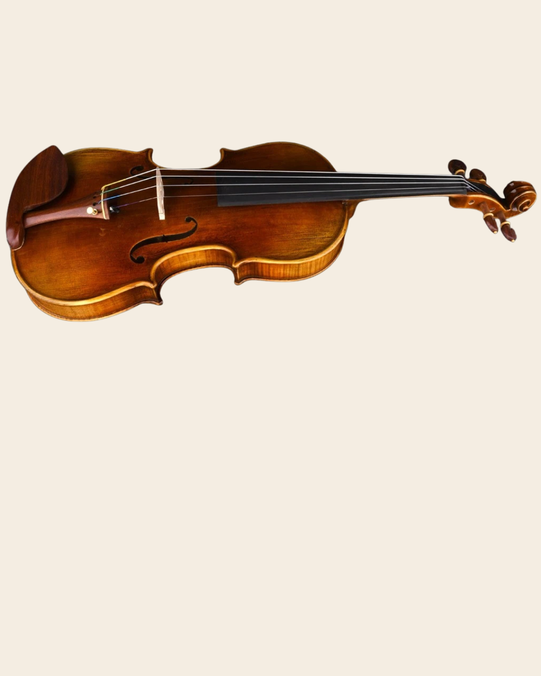 Violino Guarnieri The Cannon 1743